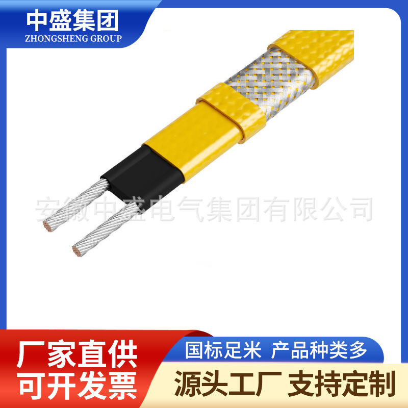 集膚效應(yīng)電伴熱(集膚電流加熱法)/集膚伴熱電纜SKIN CABLE